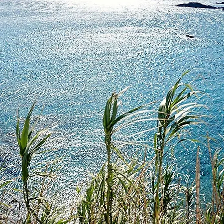 Mykonos Lolita, A Resort To Live 3* Mykonos Town