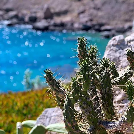 Mykonos Lolita, A Resort To Live 3* Mykonos Town